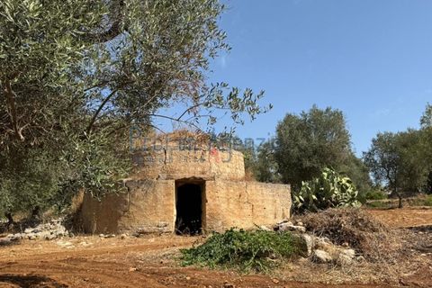 Farm hus i Ostuni, Brindisi, Ostuni - € 85.000 | Ref: 172956 - foto 6